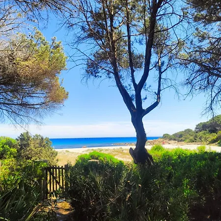 Villa Beachfront Villa, Right On Sand! Cala Liberotto