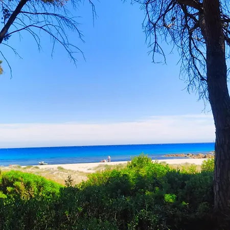 Beachfront Villa, Right On Sand! Villa